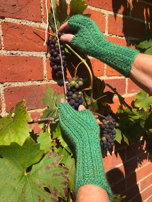 Botrytis Deweyae Mitts